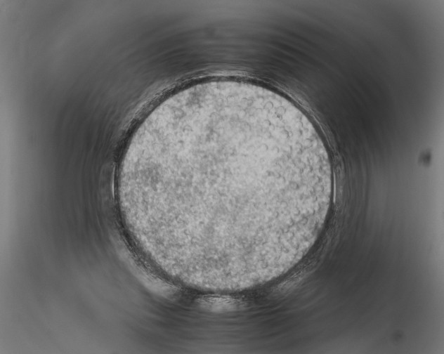 X0000115100253200912081305