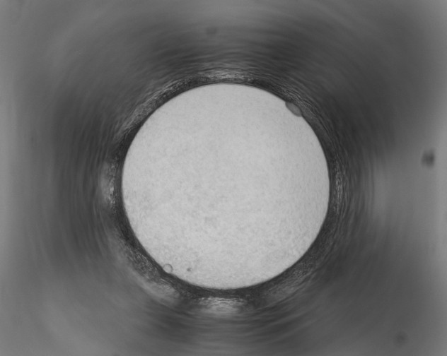 X0000115100255200912081305