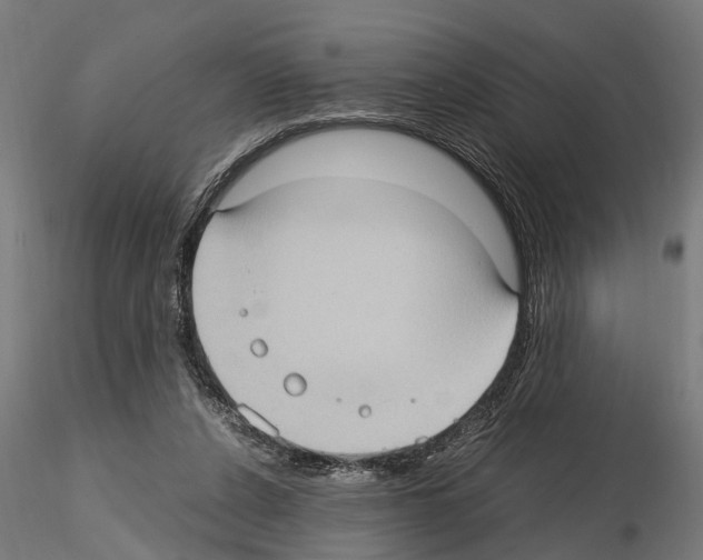 X0000115100256200912081305