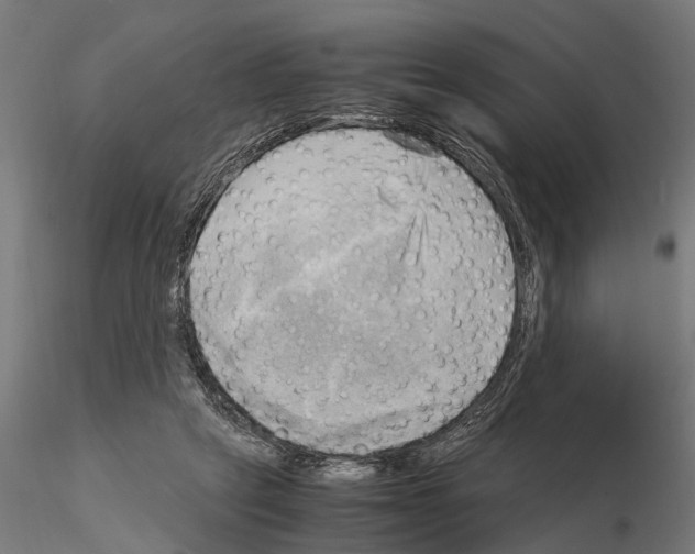 X0000115100257200912081305