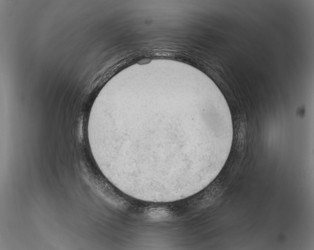 X0000115100262200912081305