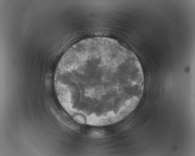 X0000115100263200912081305