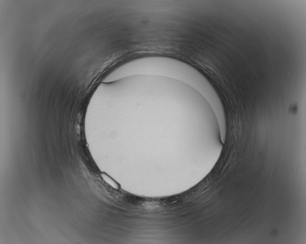 X0000115100264200912081305