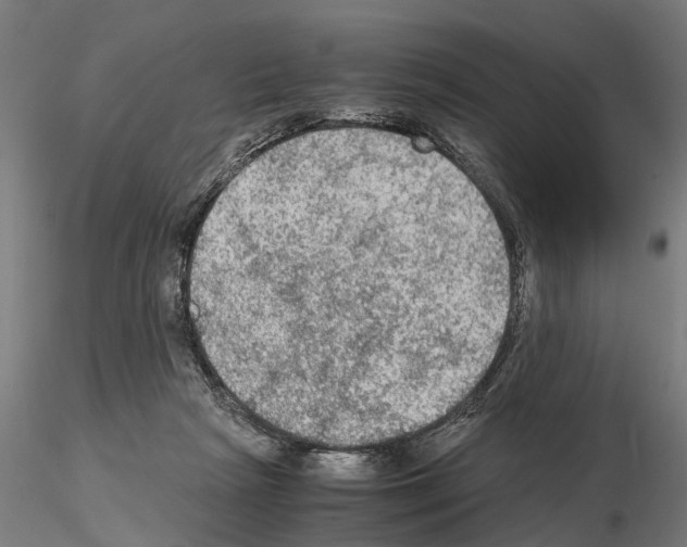 X0000115100265200912081305