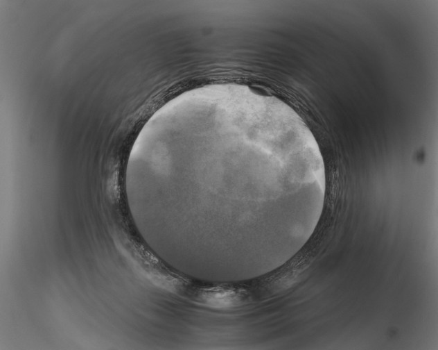 X0000115100267200912081305