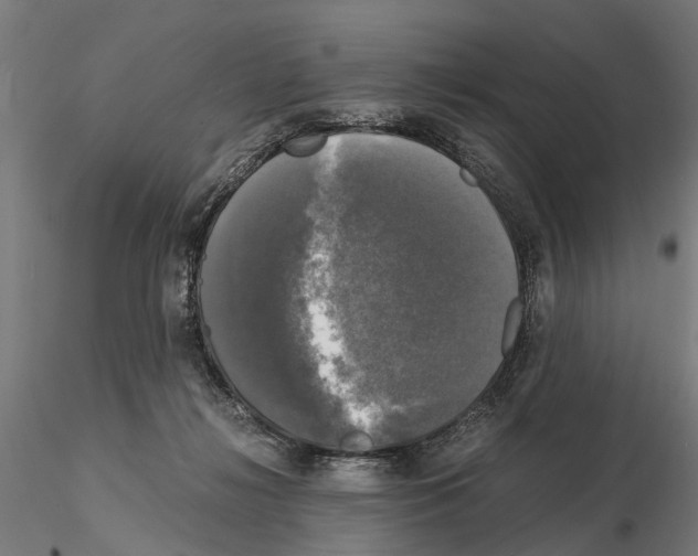 X0000115100268200912081305