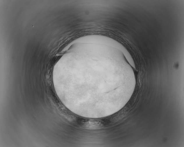 X0000115100270200912081305