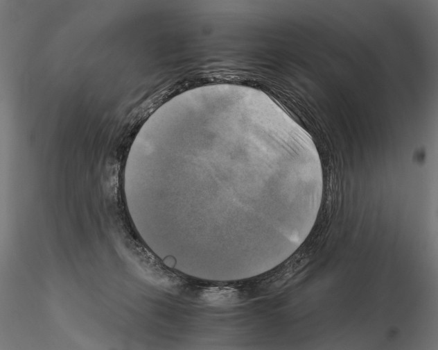 X0000115100271200912081305