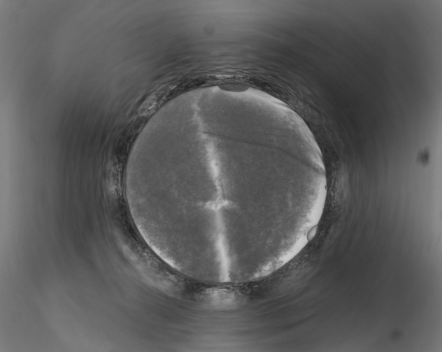 X0000115100272200912081306