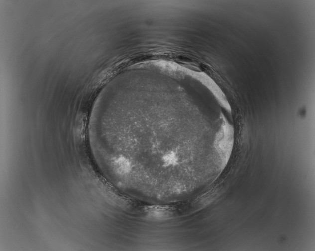 X0000115100273200912081306