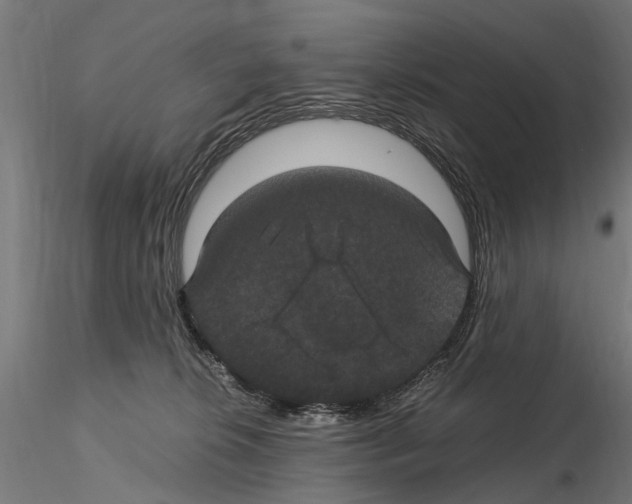 X0000115100276200912081306