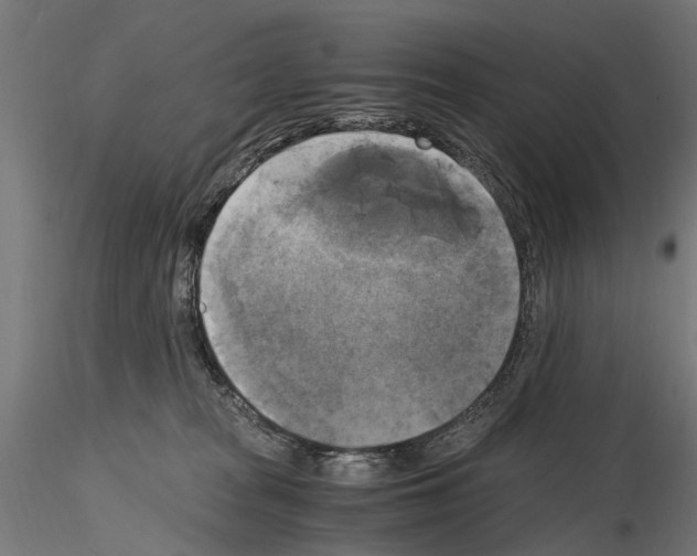 X0000115100277200912081306