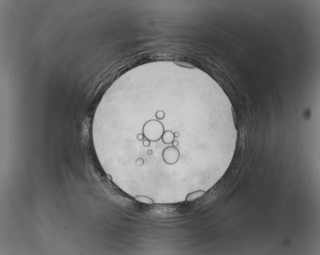 X0000115100278200912081306