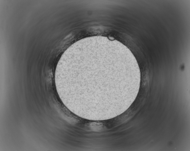 X0000115100279200912081306