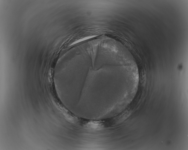 X0000115100280200912081306