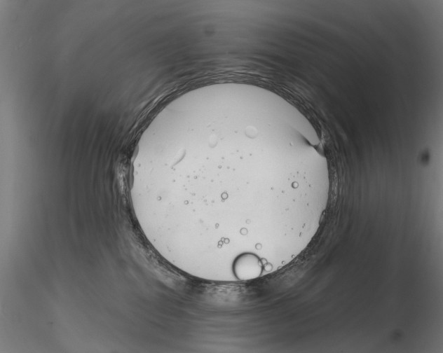 X0000115100282200912081306