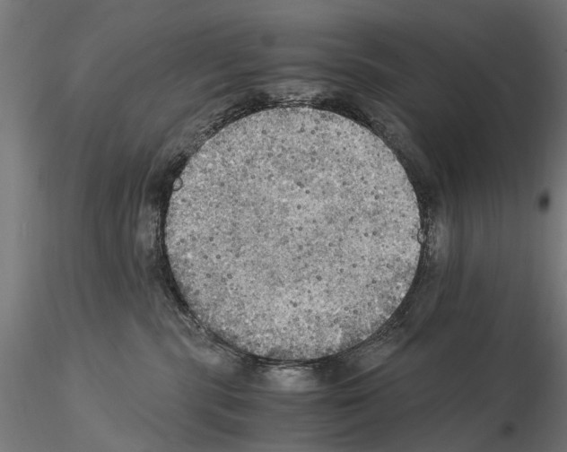 X0000115100283200912081306