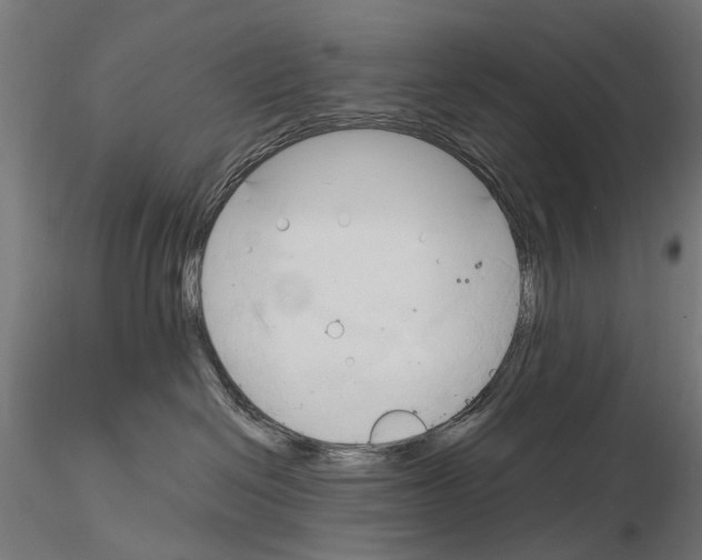 X0000115100286200912081306