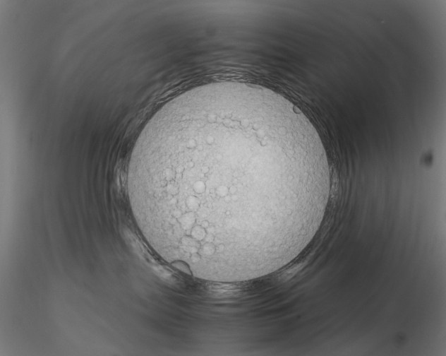 X0000115100287200912081306