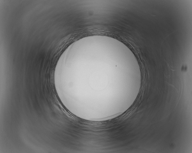 X0000115100288200912081306