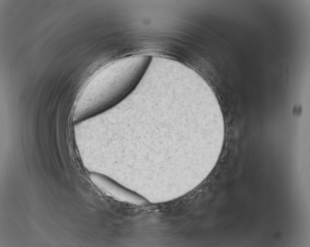 X0000115100289200912081305