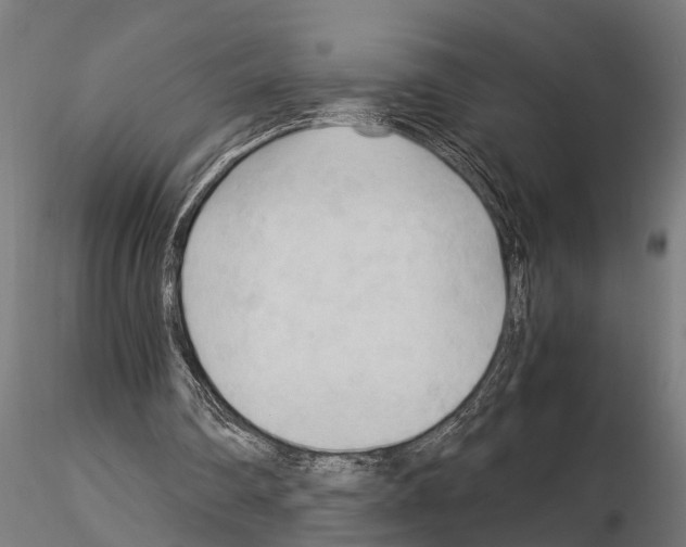 X0000115100290200912081305