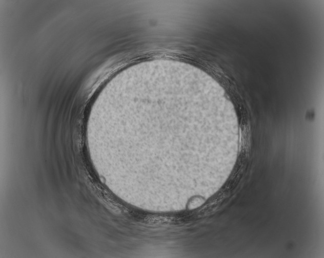 X0000115100291200912081305