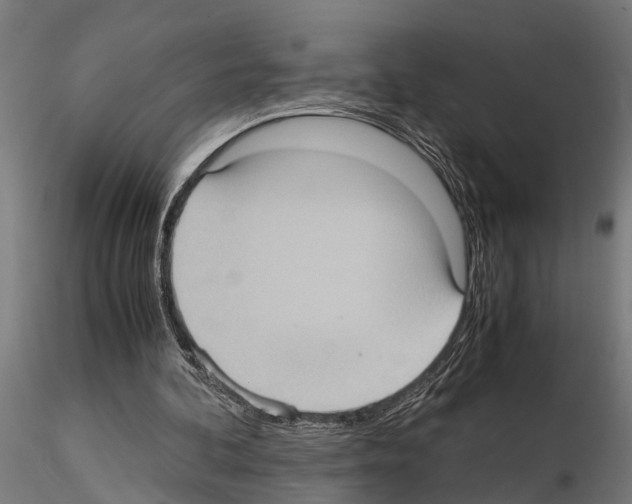 X0000115100292200912081305