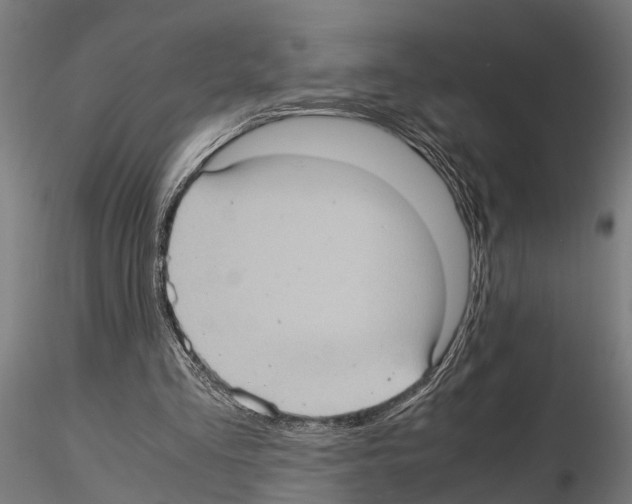 X0000115100293200912081305