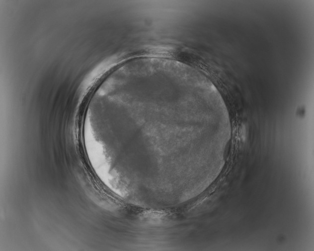 X0000115100294200912081305