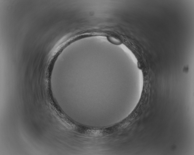 X0000115100295200912081305