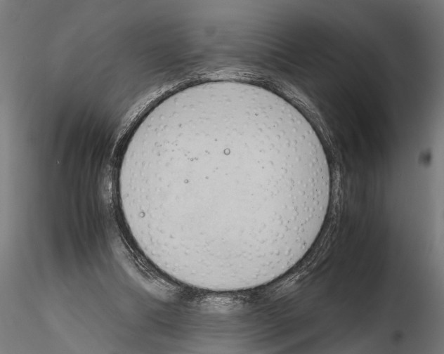 X0000115100298200912081305