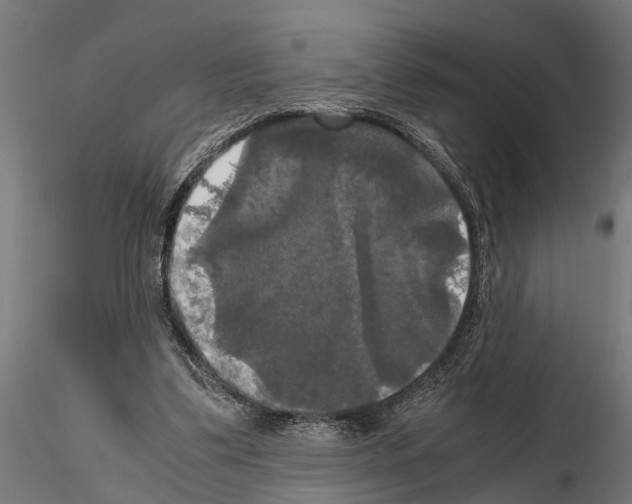 X0000115100299200912081305