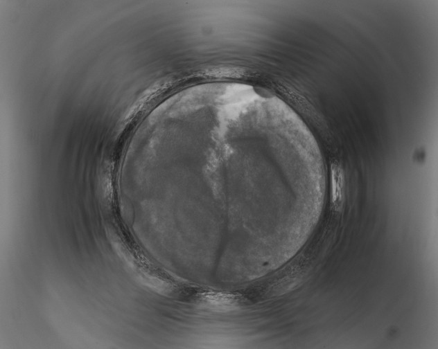 X0000115100300200912081305