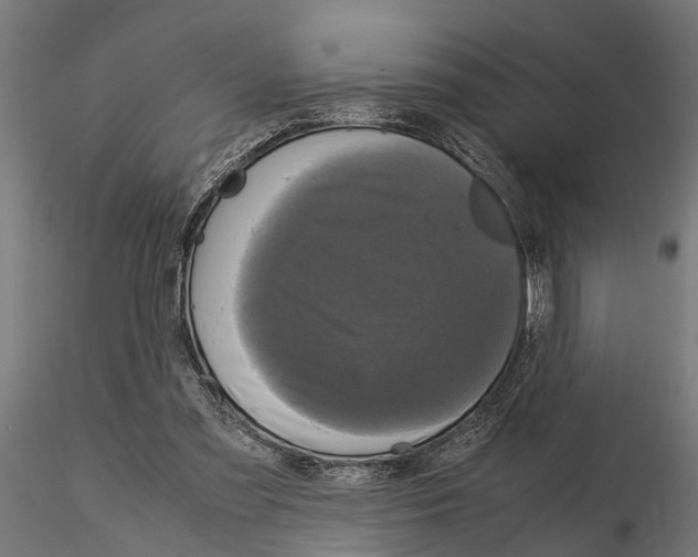 X0000115100301200912081305