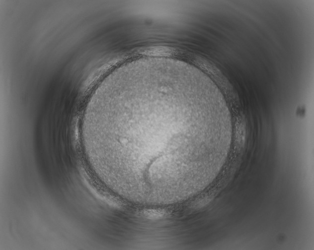 X0000115100302200912081305