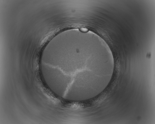 X0000115100303200912081305