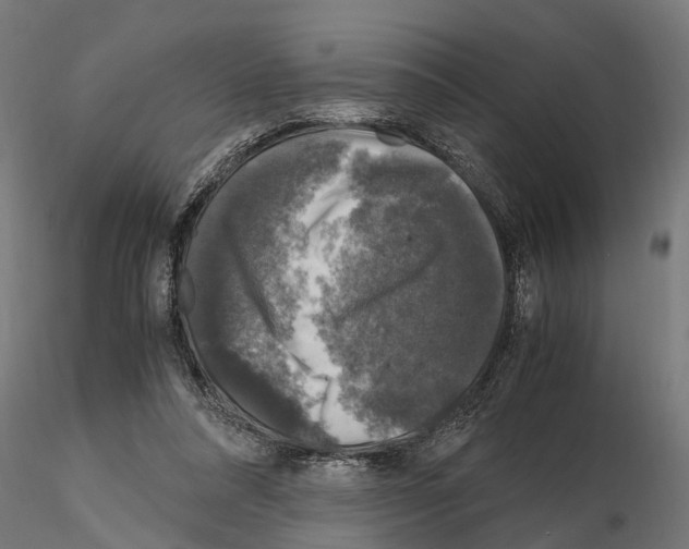 X0000115100304200912081305