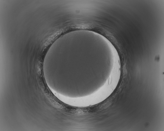 X0000115100305200912081305