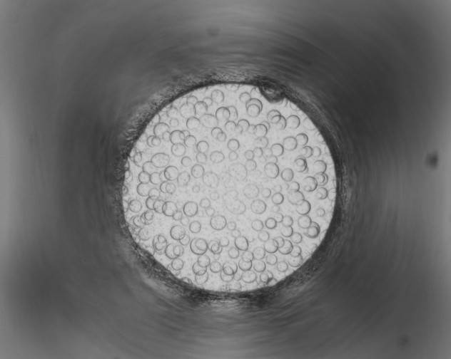 X0000115100307200912081305