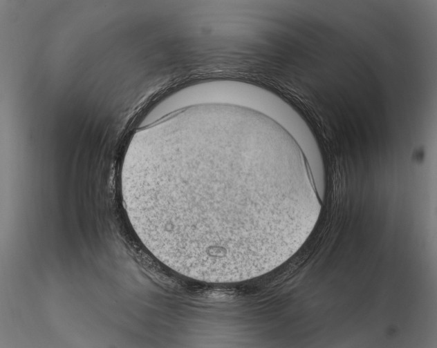 X0000115100308200912081305