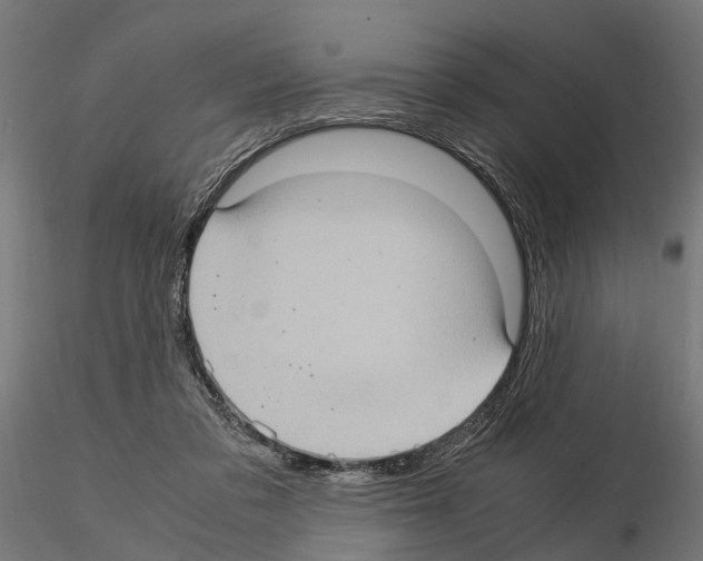 X0000115100309200912081305