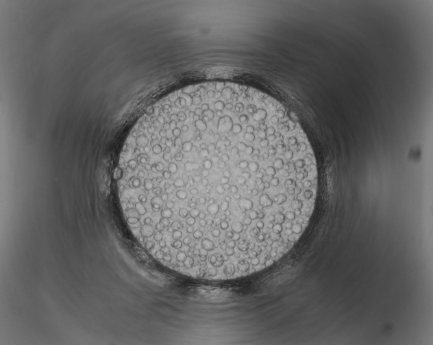 X0000115100311200912081305