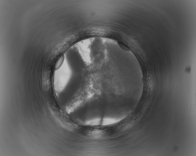 X0000115100312200912081305