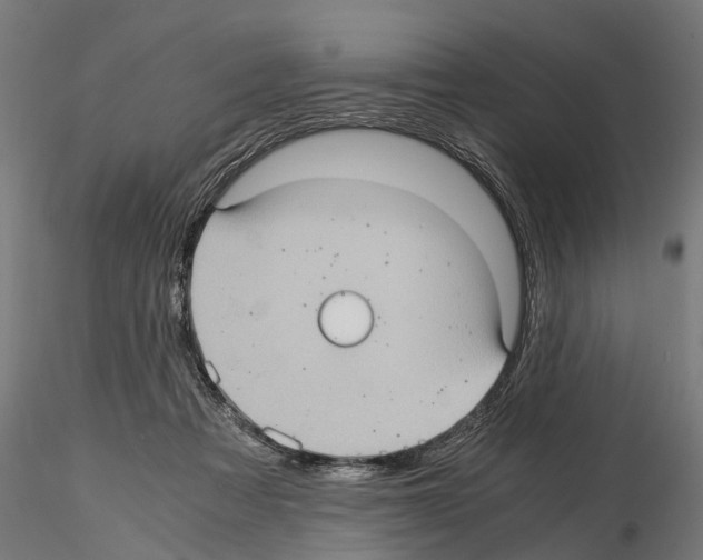 X0000115100313200912081305