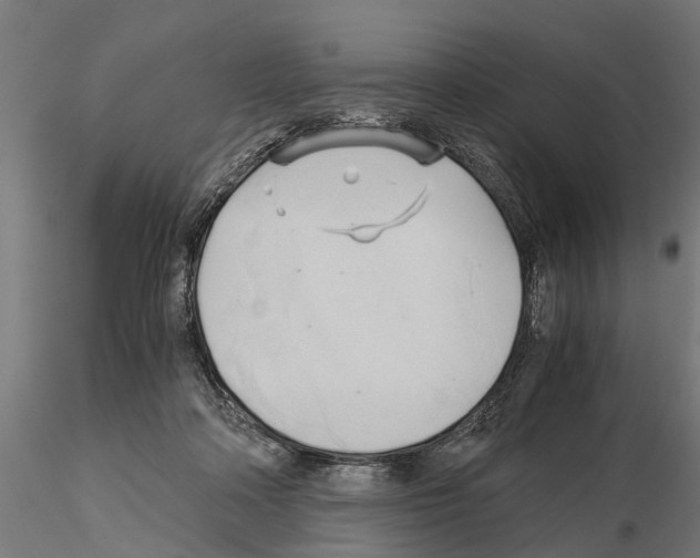 X0000115100314200912081305