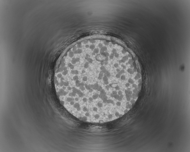 X0000115100315200912081305