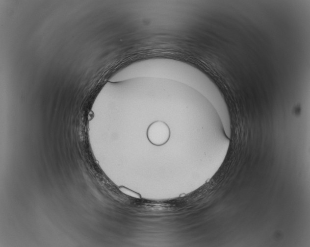 X0000115100316200912081305