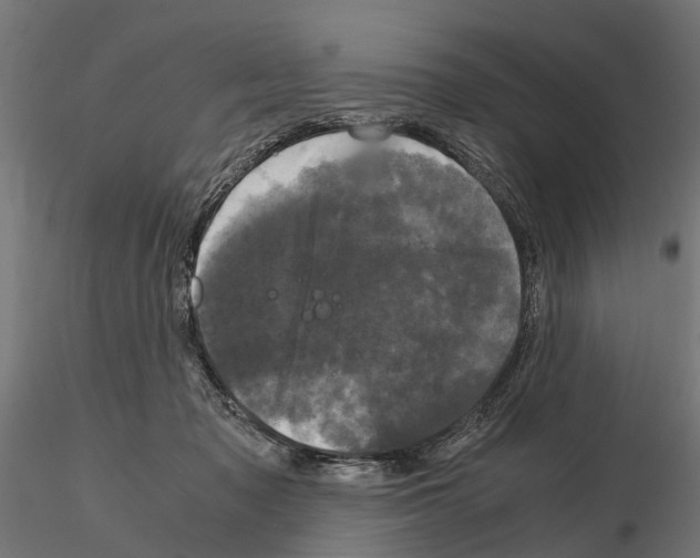 X0000115100317200912081305