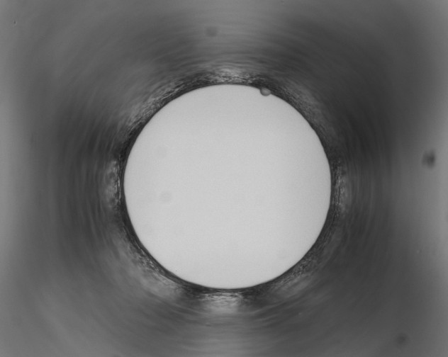 X0000115100318200912081305